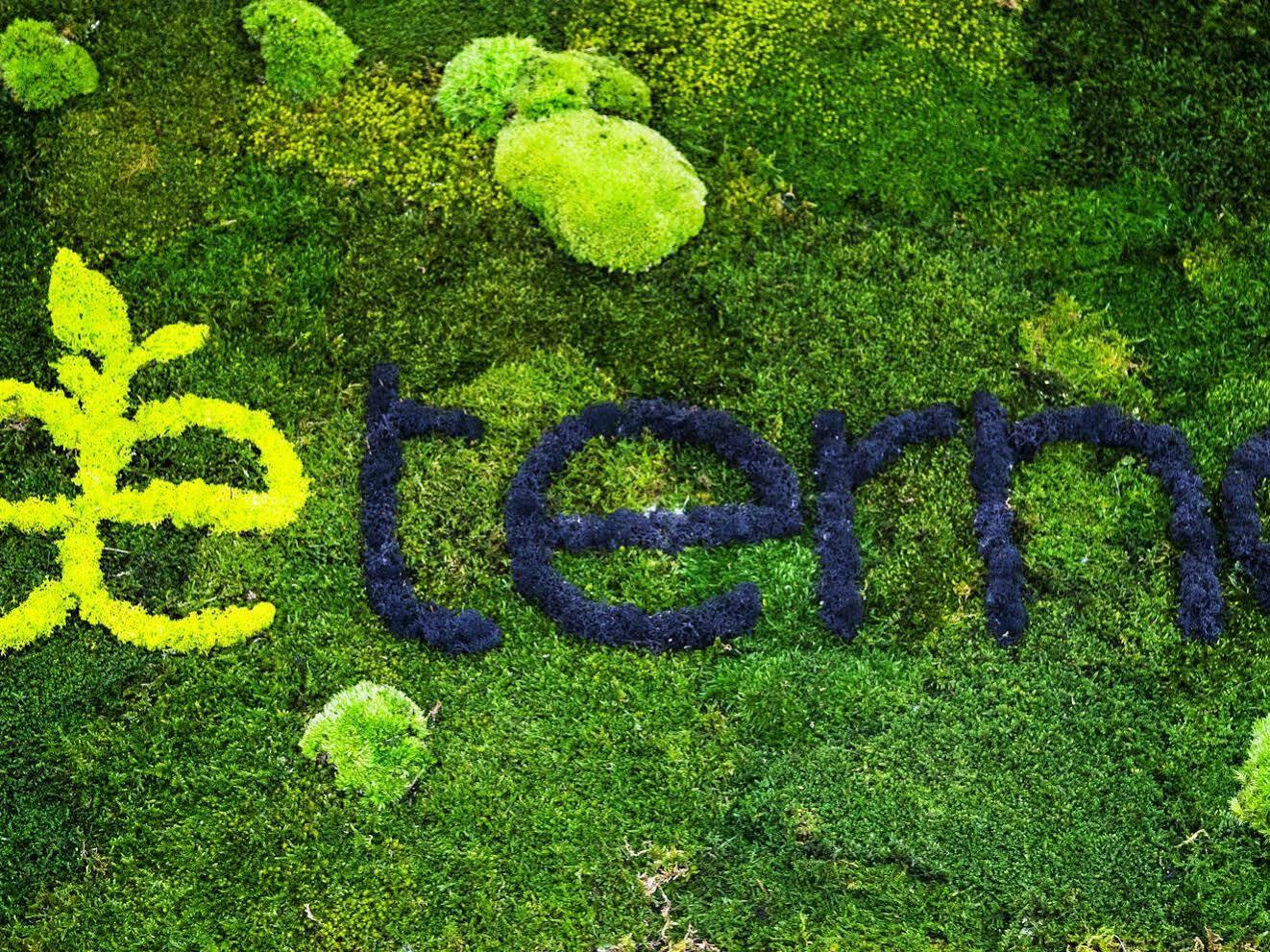 Gæstehus Aeterno Eco 3*